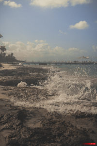 Playa dominicus 101