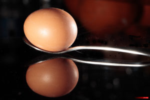 Egg 202