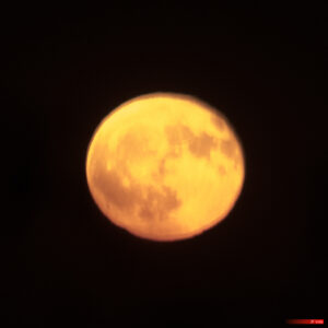 Astronomie - Astronomy - Astrophotographie - Astrophotography - Genre photographique - Lune - Lune cuivrée (astronomie) - Meteorology - Moon - Météorologie - Photographie - Photography - Photometeor - Photométéore - Phénomène météorologique - Science - Pélussin Auvergne-Rhône-Alpes France