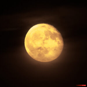 Astronomie - Astronomy - Astrophotographie - Astrophotography - Genre photographique - Lune - Lune cuivrée (astronomie) - Meteorology - Moon - Météorologie - Photographie - Photography - Photometeor - Photométéore - Phénomène météorologique - Science - Pélussin Auvergne-Rhône-Alpes France